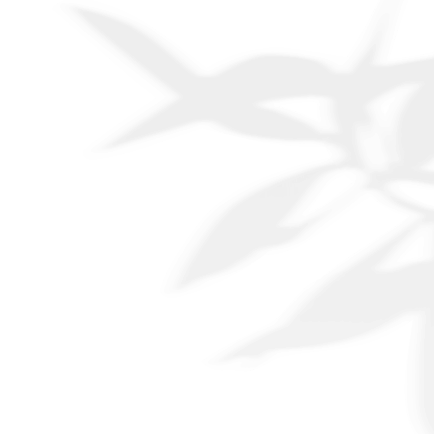 shadow_leaves_03 https://unistra-356.fr/wp-content/uploads/2020/11/shadow_leaves_03.png